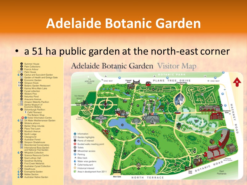 Adelaide Botanic Garden a 51 ha public garden at the north-east corner